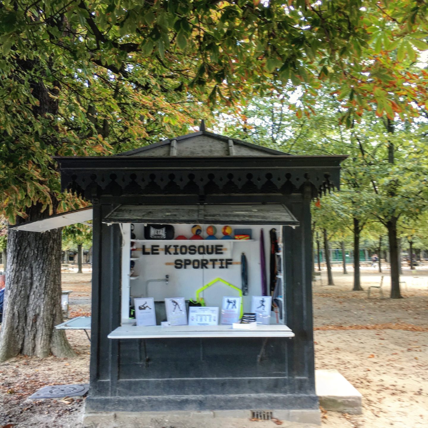 Re-voir Paris